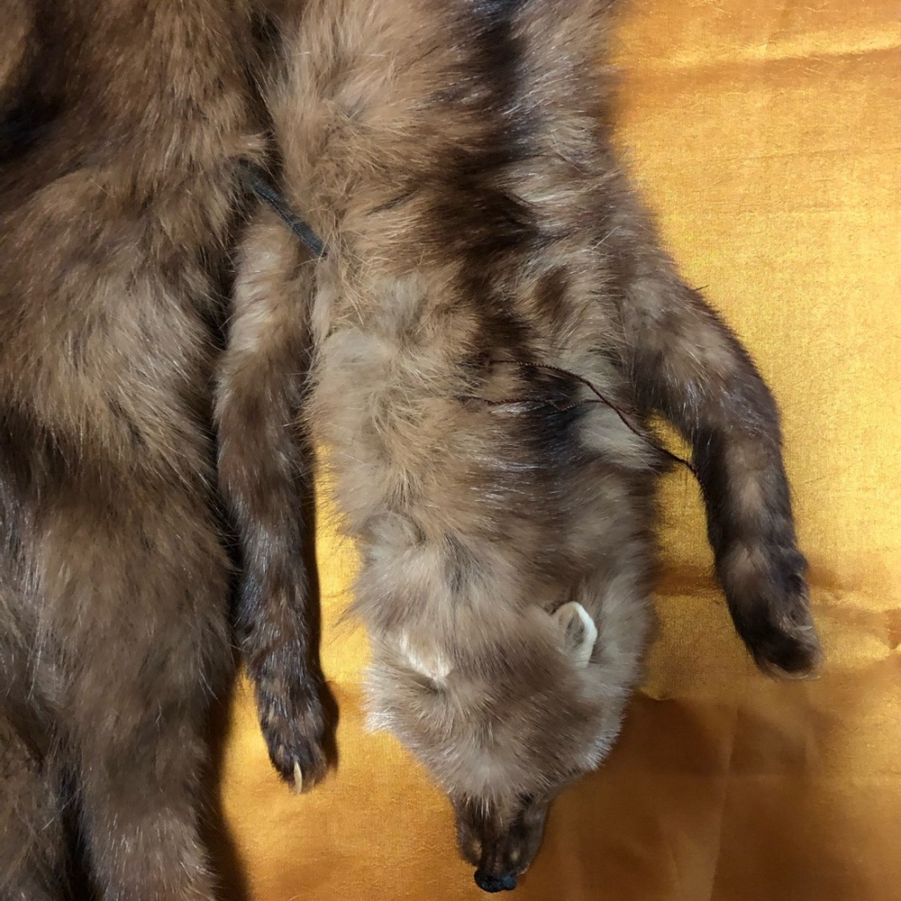 Elegant Brown Fur/Mink Collar - Picture 6 of 12